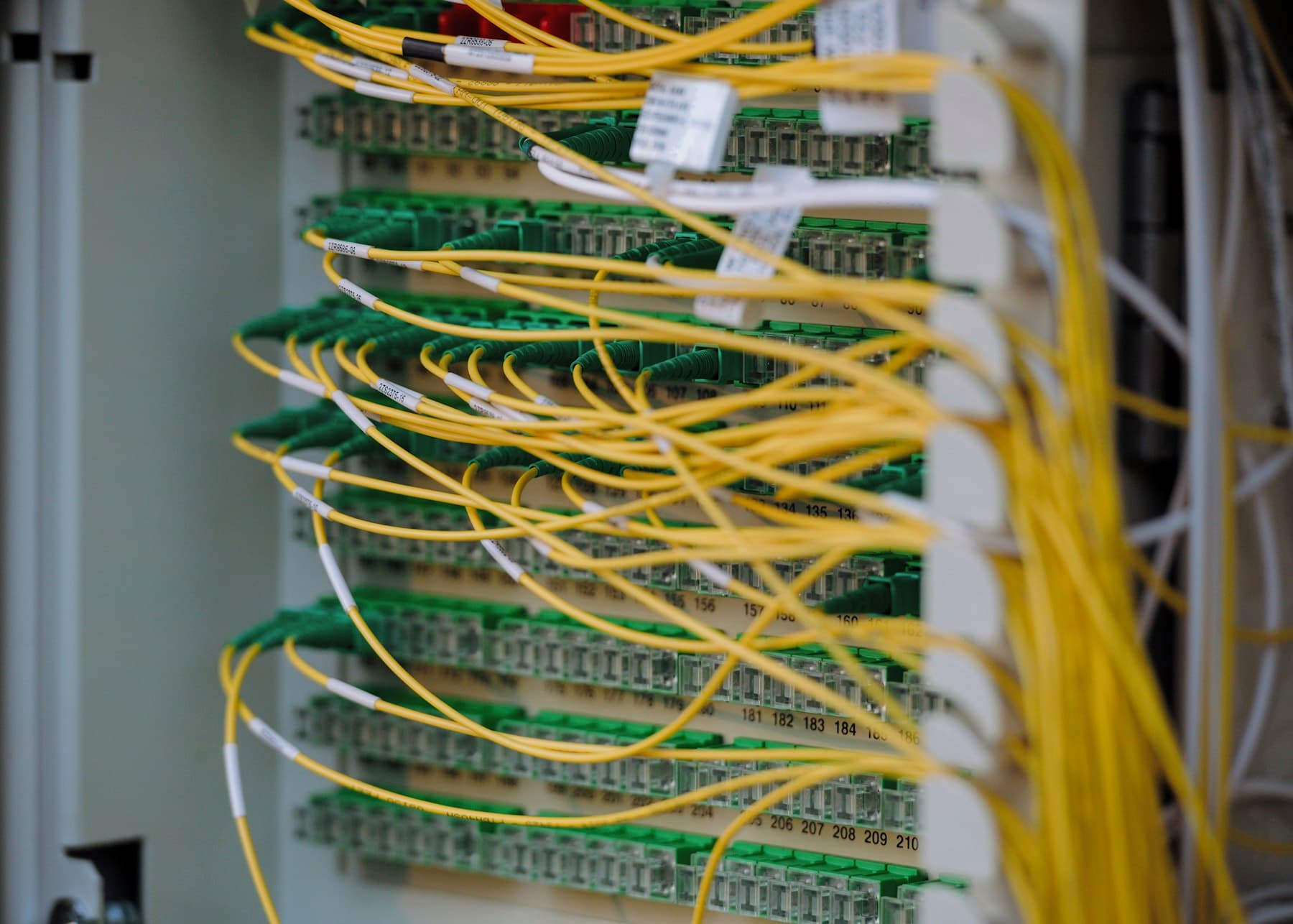 Colour-coded network cables patched neatly into a switch